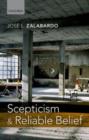 Scepticism and Reliable Belief - eBook