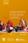 Labour Markets in Low-Income Countries : Challenges and Opportunities - eBook