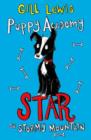 Puppy Academy: Star on Stormy Mountain - Book