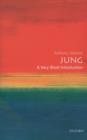 Jung: A Very Short Introduction - Book