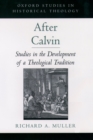 After Calvin : Studies in the Development of a Theological Tradition - eBook