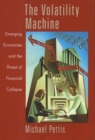 The Volatility Machine : Emerging Economics and the Threat of Financial Collapse - eBook