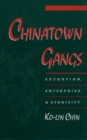 Chinatown Gangs : Extortion, Enterprise, and Ethnicity - eBook