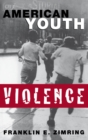 American Youth Violence - eBook