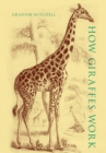 How Giraffes Work - eBook