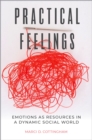 Practical Feelings : Emotions as Resources in a Dynamic Social World - eBook