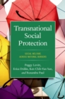 Transnational Social Protection : Social Welfare across National Borders - eBook