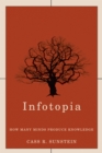 Infotopia : How Many Minds Produce Knowledge - eBook
