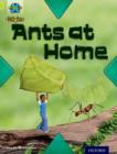 Project X Origins: Lime Book Band, Oxford Level 11: Underground: Ants at Home - Book