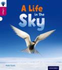 Oxford Reading Tree inFact: Level 10: A Life in the Sky - Book
