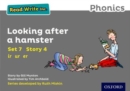 Read Write Inc. Phonics: Grey Set 7 Storybook 4 Looking After a Hamster - Book