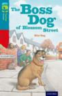Oxford Reading Tree TreeTops Fiction: Level 9 More Pack A: The Boss Dog of Blossom Street - Book