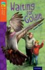 Oxford Reading Tree TreeTops Fiction: Level 13: Waiting for Goldie - Book