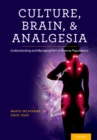 Culture, Brain, and Analgesia : Understanding and Managing Pain in Diverse Populations - eBook