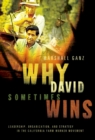 Why David Sometimes Wins : Leadership, Organization, and Strategy in the California Farm Worker Movement - eBook