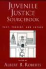 Juvenile Justice Sourcebook : Past, Present, and Future - eBook