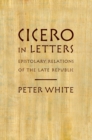 Cicero in Letters : Epistolary Relations of the Late Republic - eBook