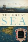 The Great Sea : A Human History of the Mediterranean - eBook