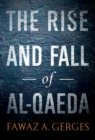 The Rise and Fall of Al-Qaeda - eBook