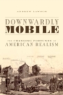 Downwardly Mobile : The Changing Fortunes of American Realism - eBook
