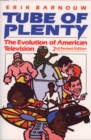 Tube of Plenty : The Evolution of American Television - eBook