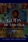 Gods in America : Religious Pluralism in the United States - eBook