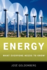 Energy : What Everyone Needs to Know? - eBook