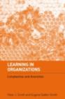 Learning in Organizations : Complexities and Diversities - eBook