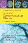 Multidetector Computed Tomography in Cerebrovascular Disease : CT Perfusion Imaging - eBook