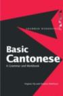 Basic Cantonese : A Grammar and Workbook - eBook