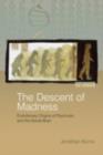 The Descent of Madness : Evolutionary Origins of Psychosis and the Social Brain - eBook