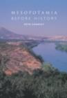 Mesopotamia Before History - eBook