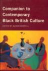 Companion to Contemporary Black British Culture - eBook