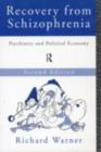 Recovery from Schizophrenia : Psychiatry and Political Economy - eBook