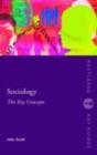 Sociology: The Key Concepts - eBook