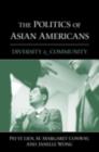 The Politics of Asian Americans : Diversity and Community - eBook