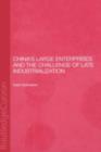 China's Large Enterprises and the Challenge of Late Industrialisation - eBook
