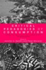 Critical Pedagogies of Consumption : Living and Learning in the Shadow of the "Shopocalypse" - eBook
