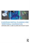 European Spatial Planning and Territorial Cooperation - eBook