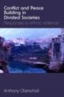 Conflict and Peace Building in Divided Societies : Responses to Ethnic Violence - eBook