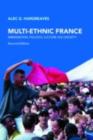 Multi-Ethnic France : Immigration, Politics, Culture and Society - eBook