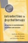 Introduction to Psychotherapy : An Outline of Psychodynamic Principles and Practice - eBook