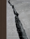 Of What One Cannot Speak : Doris Salcedo's Political Art - eBook