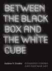 Between the Black Box and the White Cube : Expanded Cinema and Postwar Art - eBook