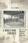 A World More Concrete : Real Estate and the Remaking of Jim Crow South Florida - eBook