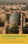 From Mesopotamia to Iraq : A Concise History - eBook