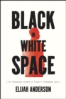 Black in White Space : The Enduring Impact of Color in Everyday Life - Book
