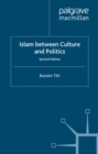 Islam Between Culture and Politics - eBook