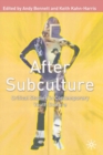 After Subculture : Critical Studies in Contemporary Youth Culture - eBook