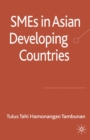 SMEs in Asian Developing Countries - eBook